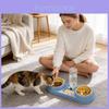 Pet Cat Food And Water Bowl Set With Antispill Design For Home Use