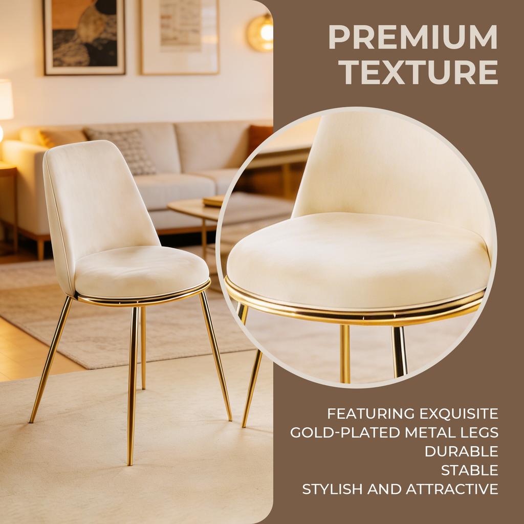 Modern Cream White Dining Chair(set of 2 ) - Gold-Plated Metal Legs, Velvet Upholstery