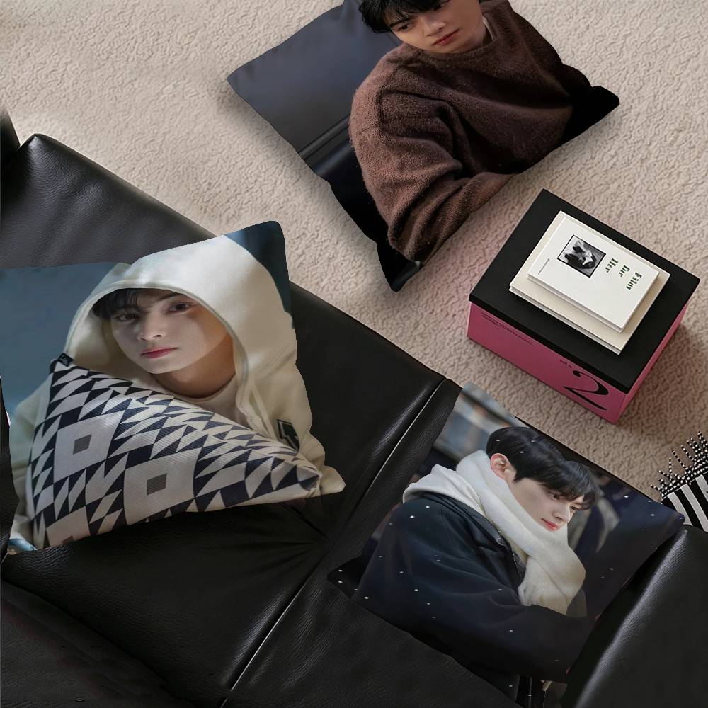 Singer C-Cha EunWooS Cushion Cover Decorative Pillow Sofa Home Decor Case Pillow Cases