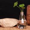 Home Decor Wedding Decoration Light Bulb Shaped Transparent Glass Vase Fashion Hydroponic Flower Vase Gift Home Desktop Ornament