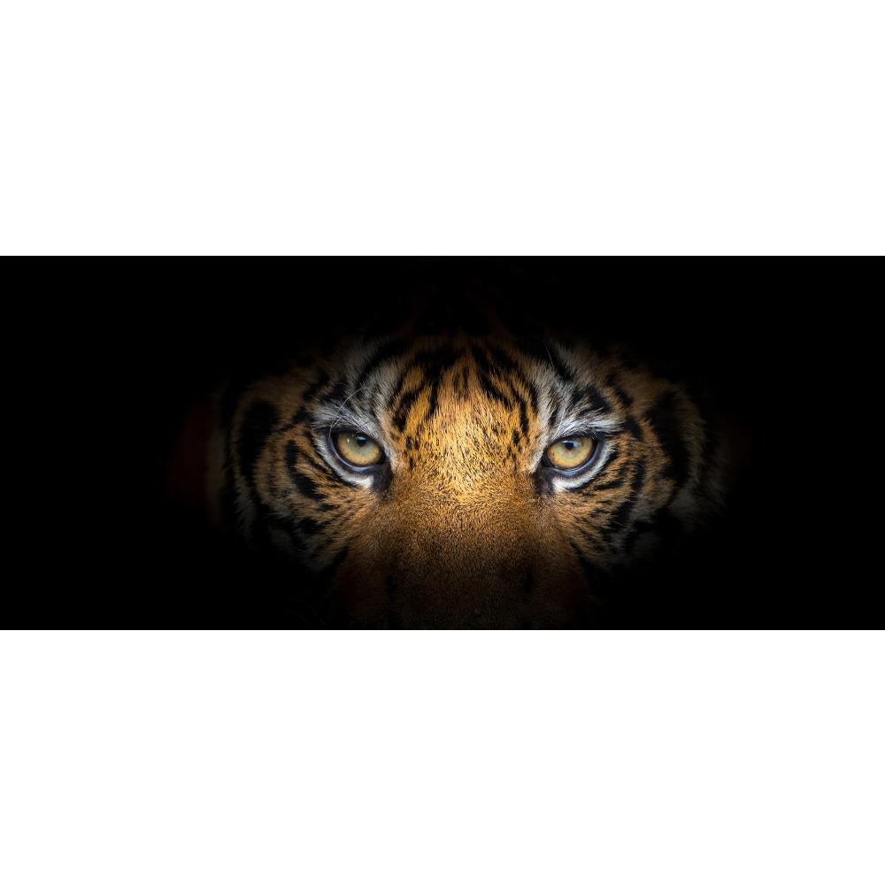 Modern Prints Canvas Art Black and White Tiger Head Painting Wall Art Posters Animal Art Picture For Home Decor