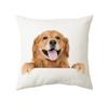 45x45cm Cute Cat Cushion Cover Polyester Throw Pillow For Bed Living Room Sofa Office Seat Car Kids  Decor Home