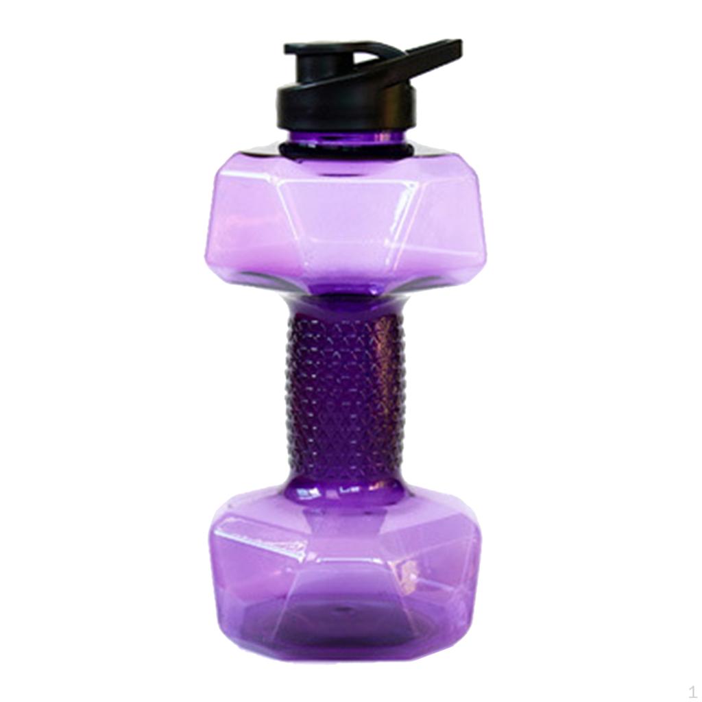 Companion for Fitness Enthusiasts