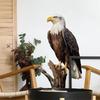 Eagle on Branch Wall Sticker PVC Self Adhesive Removable Bedroom Living Room Hallway Background Decor