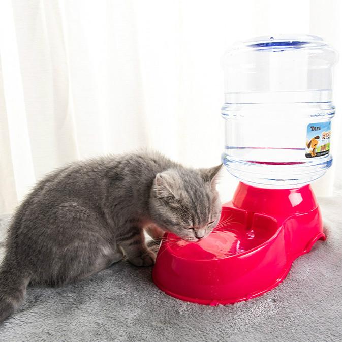 cat automatic feeder and water