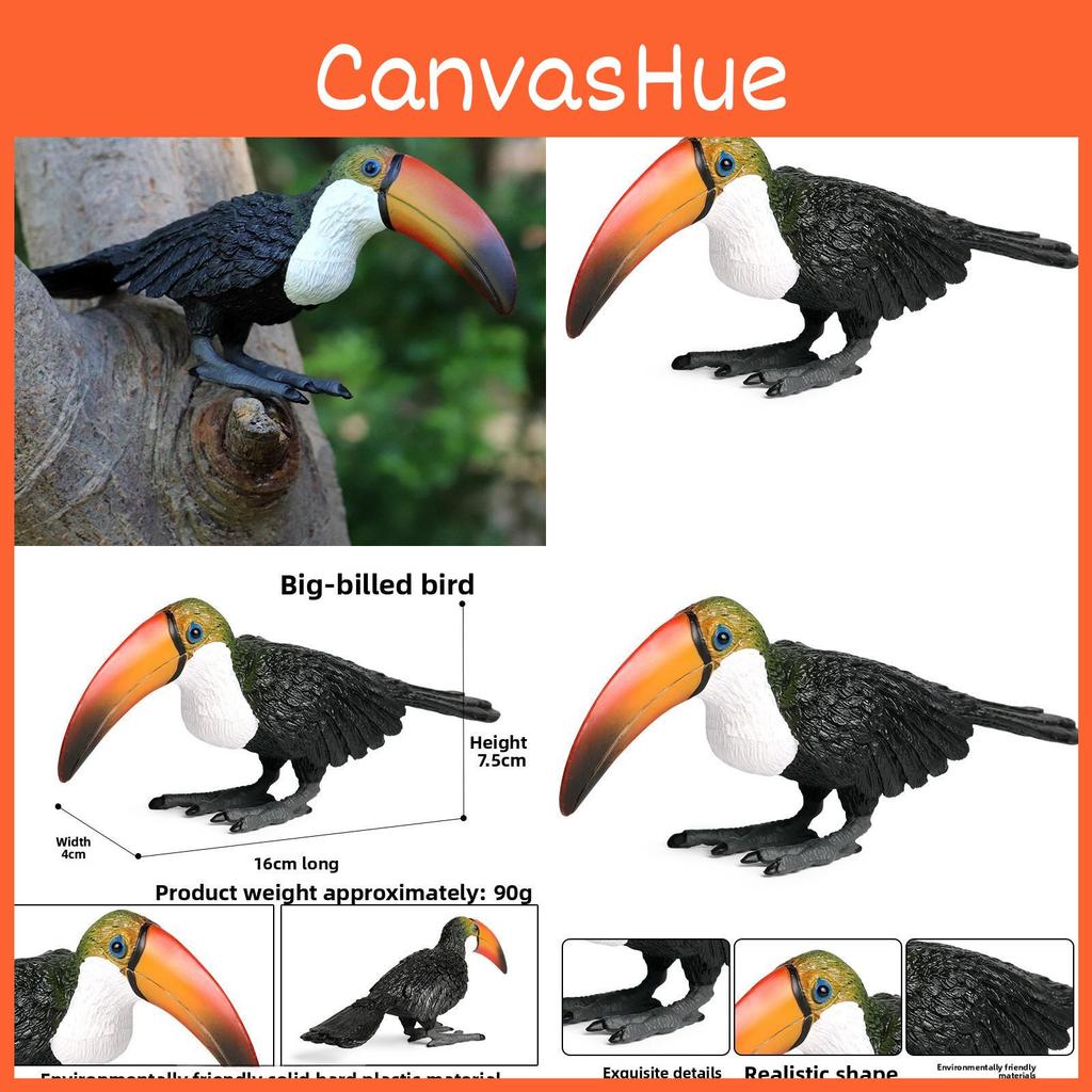 Simulated Animal Wild Big Billed Bird Ramphastos Toco Model Toys Ornament