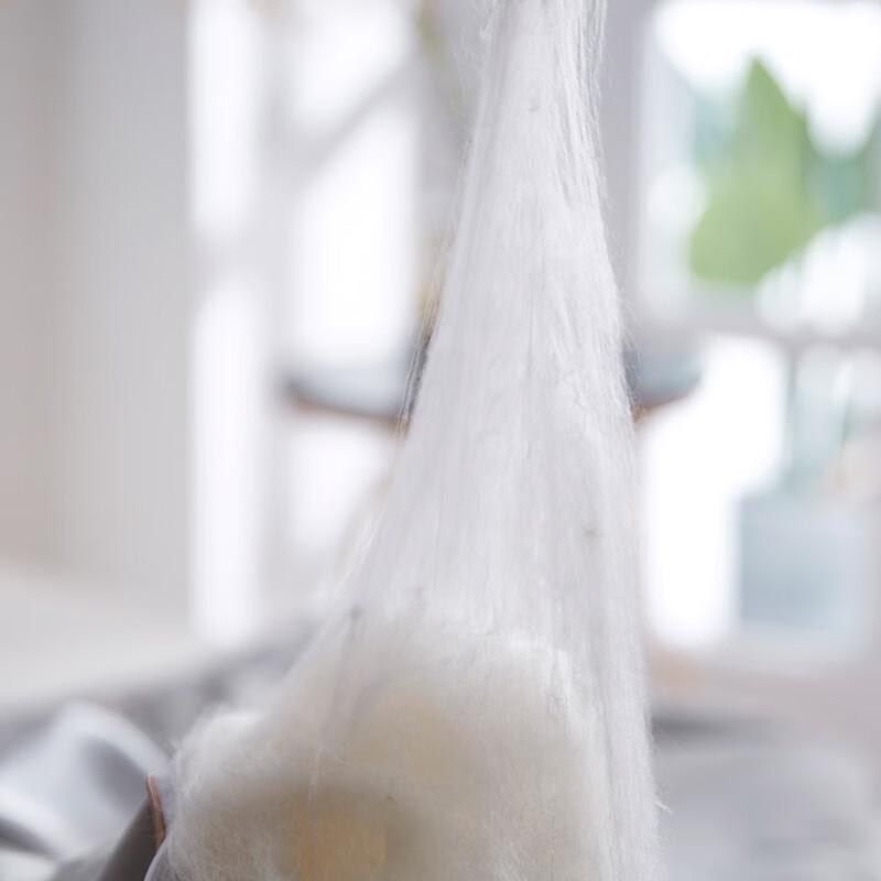 Tianqin Water Rhythm Silk Duvet