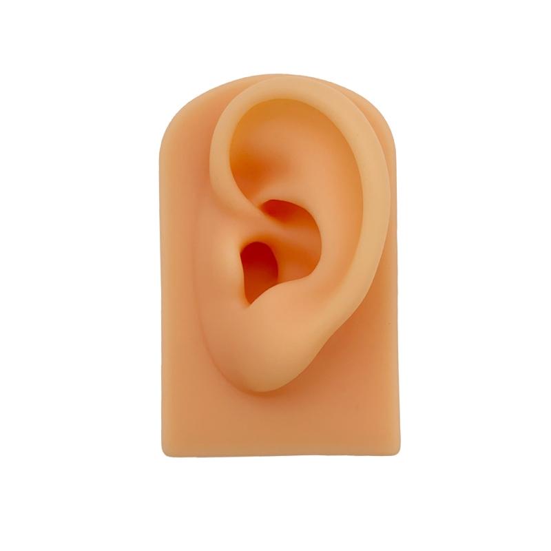 Ear Silicone Model Practice Body Piercing Teaching Tool Earring for Jewelry Display Can Be Reused 1:1 Simulation Human