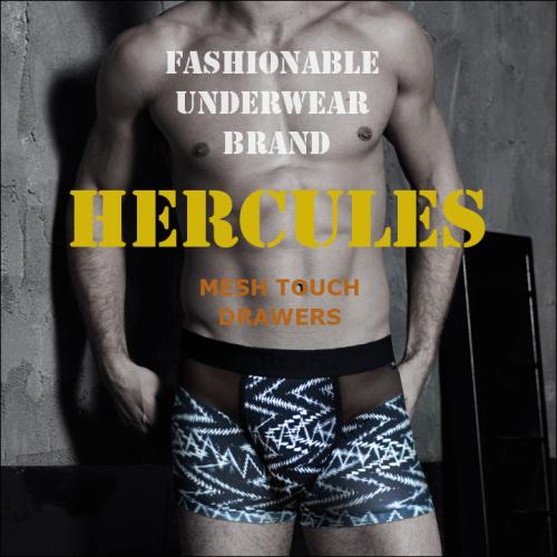 

[Hercules Underwear] Black Mesh Unique Style Sexy Drawers HB2DR110M1 [Shipped from Korea] 100% Authentic 100