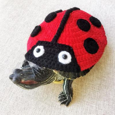 Yousheng Knitted Turtle Outfit Warm Ladybug Sweater Tortoise Dress-up Costume with Adjustable Strap for Pet Turtle Halloween Party Cosplay Photo Shoot