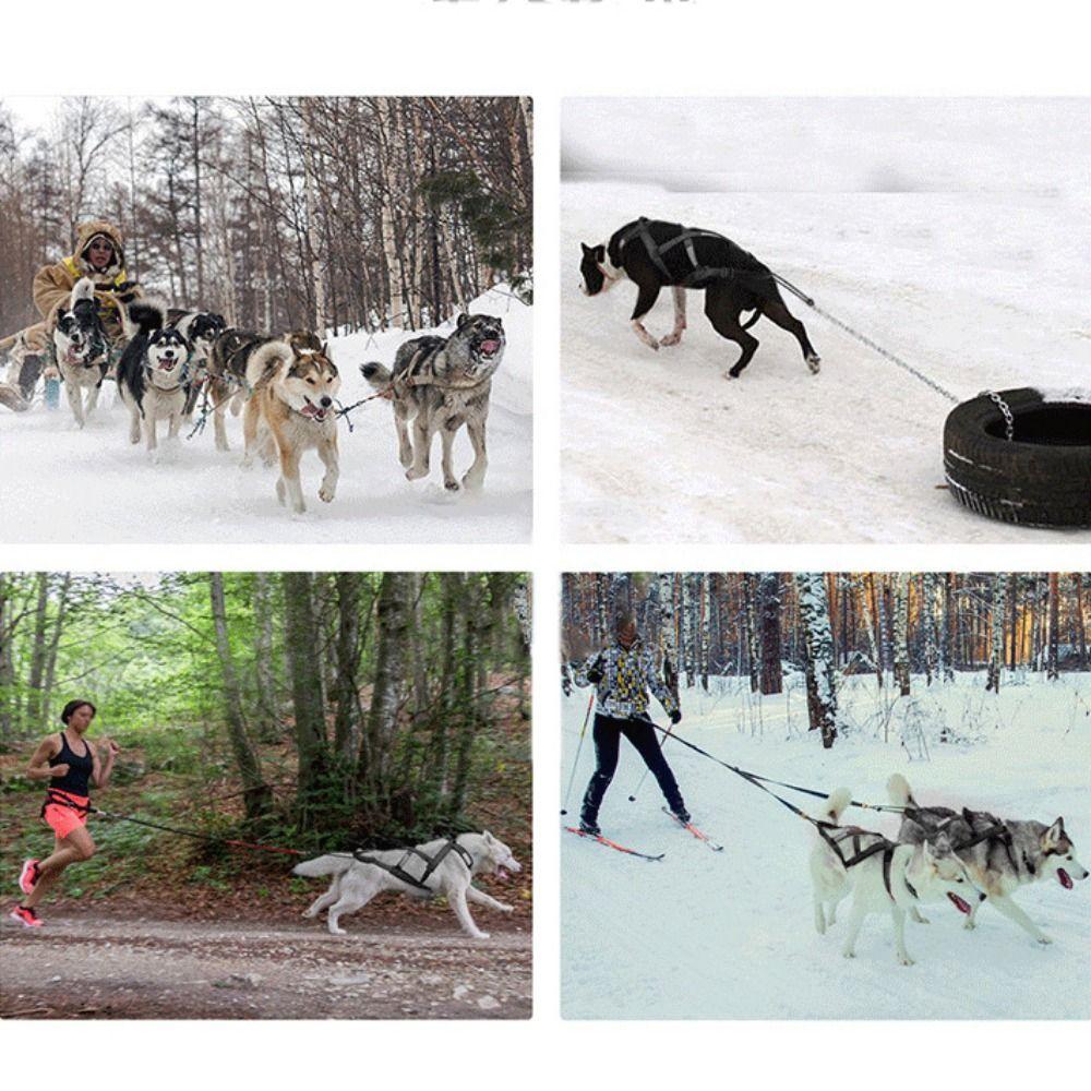 Waterproof Dog Sledding Harness Reflective Pet Sledding Skijoring Harness Big Large Dogs Weight Pulling Vest For Pet Training