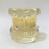 Hip-Hop Zirkonia Diamant Grillz, Trendiger galvanisierter T-Stil für europäische und amerikanische Mode.