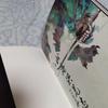 [USED] Sankai Hong Arashi Tenki Maki Chinese Art Book