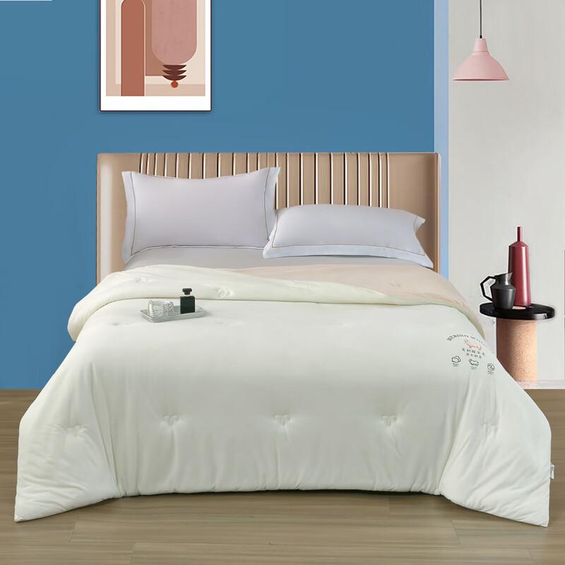 

Grace Dove Velvet All-Season Quilt