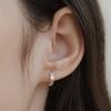 (Silver 925) Wave Toy Hoop Earrings EC1983
