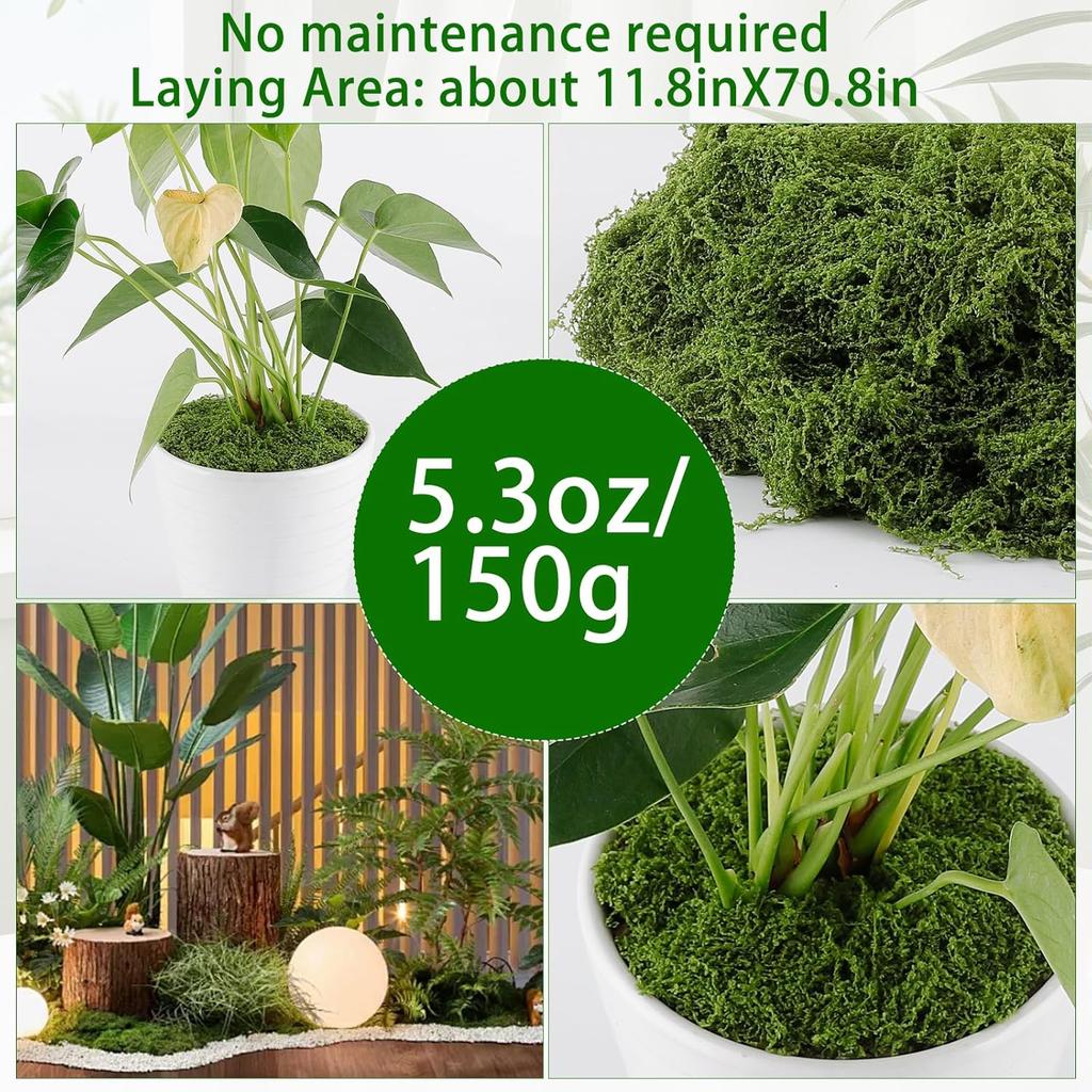 1PACK /200g Simulated Moss Artificial Micro Landscape Ornament Moss Bonsai Potted Plant Decorative Landscaping False Filamentous Wool Moss