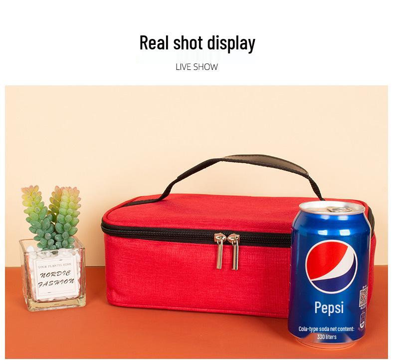 Insulated Portable Lunch Bag - Small Capacity, Unisex Design
