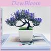 Faux Pine Plant With Injection Molding For Office Display