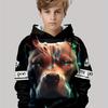 Kids Clothes Boys Hoodies Long Sleeve Funny 3D Dogs Print Children Spring Fall Clothes Casual Stylish Outdoor Boy Clothes Tops