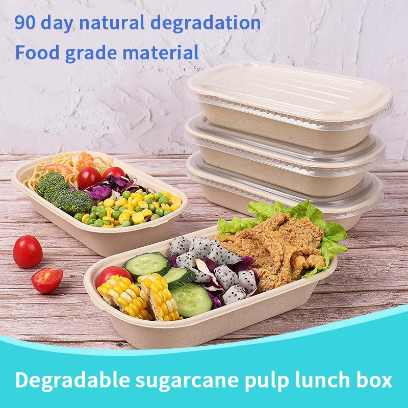 Disposable Takeaway Light Food Lunch Box Biodegradable Pulp Salad Box Environmentally Friendly Pulp Sushi Fat Reducing Bento Box