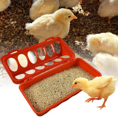 Automatic Chicken Food Feeder Equipment Dish Tray with Holes for Coop Farms Pigeon Quails Birds Home Outdoor Indoor Use