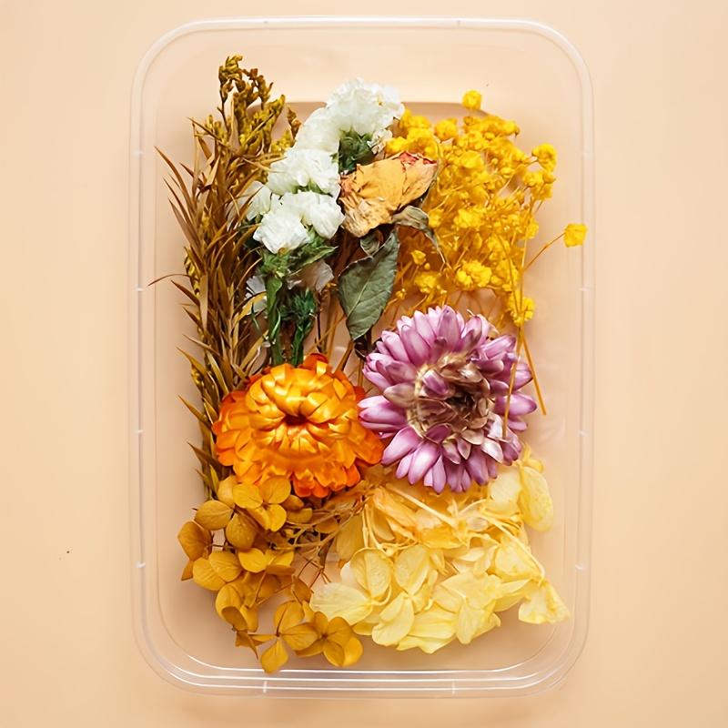 Multicolor Dried Flowers & Leaves DIY Craft Kit Resin Molds for Jewelry, Nail Art, Candles, Soap Making & Home Decor