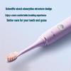 Flyco FT7105 Smart Sonic Electric Toothbrush CN Plug (adapter Included)