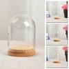 Glasdomabdeckung für Blume Sukkulenten Pflanzen DIY Staubdichte Abdeckungen Hülle Transparente Flasche Glasvase Desktop Heimdeko Zubehör