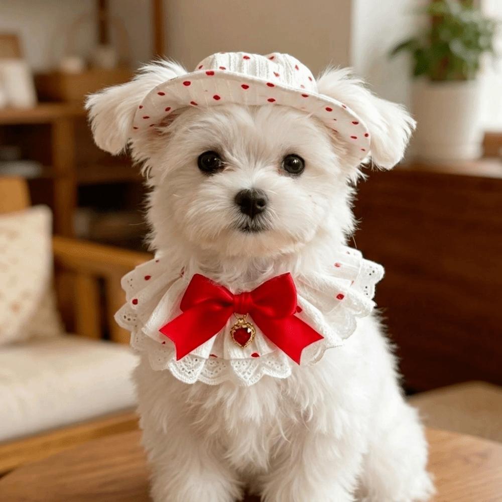 Breathable Pet Fisherman Hat Thin Cotton Dog Sunscreen Hat Cute Pet Sun Hat  Summer Season