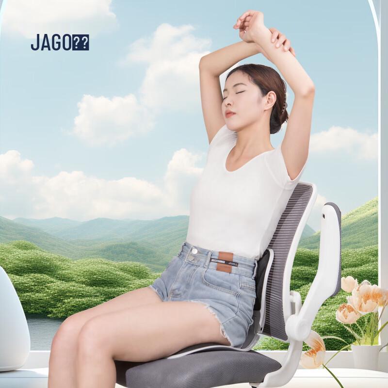 Jiaao Ergonomic Foldable Back Support Cushion