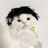 Refined Style Knitting Wool Cat Hat Cute Design Elastic Knitted Hat Photo Props Pet Hat Party Photo Shoot