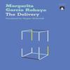 The Delivery by Margarita Garcia Robayo Paperback Book 9781913867690