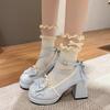 Chunky Heel Platform Women's High Heels 2025 Korean Sweet Mary Jane Pumps Small Leather Shoes Bow Princess Style Lolita Heels