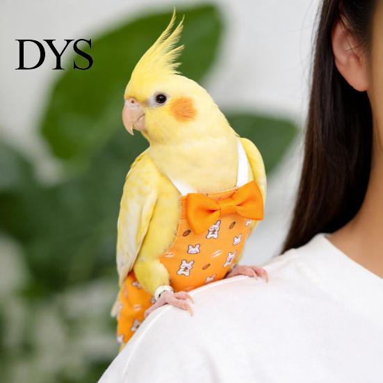 Cartoon Print Parrot Nappy Diaper, Cute Bird Diaper with Bow, Soft Reusable Flight Suit for Cockatiels Lovebirds Budgerigars Elastic Strap