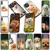 Soft Cover for Apple iPhone 13 12 Mini XS 11 Pro Max 7 8 Plus + XR SE 2022 2020 SE3 Coque Phone Case Pomeranian Poodle Dog