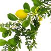 Simulated Lemon Rattan Artificial Lemon Rattan Interior Decoration Christmas Decorative Rattan.