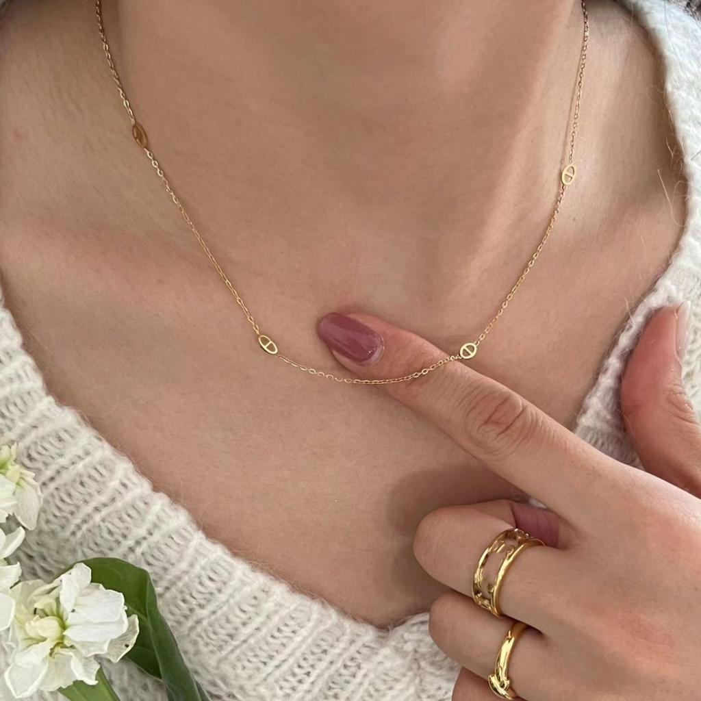 Color Retention Extended Double-layer Pig Nose Stacked Sweater Chain Light Luxury Necklace Simple High-end Accessories