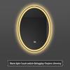 Shengbei Oval Smart LED Bathroom Mirror