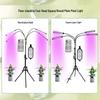 LED Plant Grow Light: 12V Clip-On Full Spectrum with Dimming & Timing for Seedling Sunlight Imitation