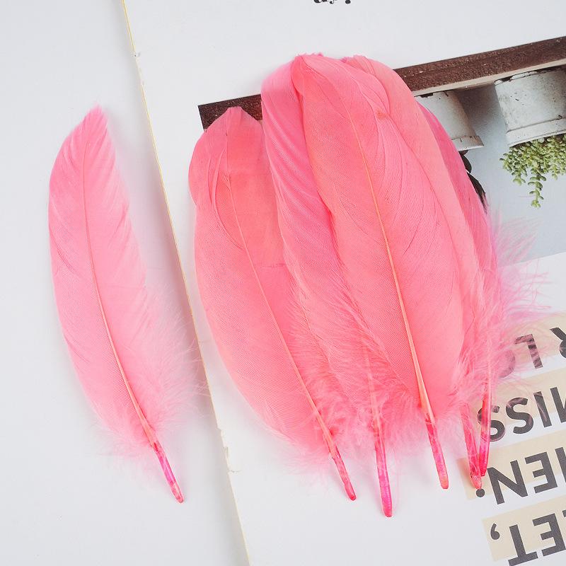 50Pcs Shellfish Feather Goose Feather Diy Handmade Jewelry Accessories Handicrafts Cat Toys Decorative Feathers