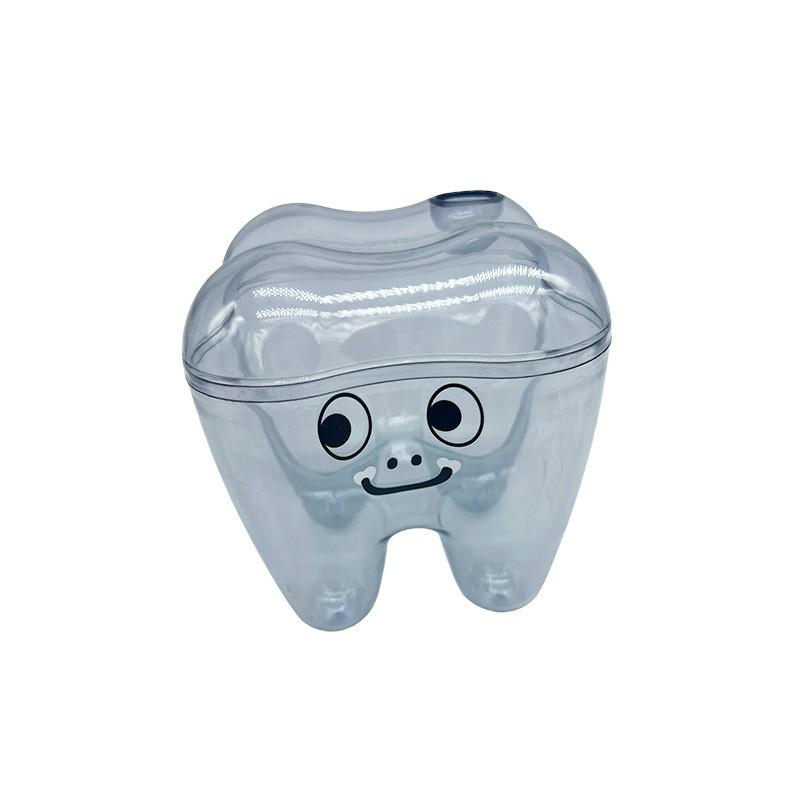 Tooth Molar Storage Box - Tooth-Shaped Organizer