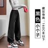 Tie-up Sweatpants Women's Spring and Autumn New Loose Velvet Wide-leg Pants Casual Straight Tooling Sweatpants