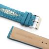 [Revetta] Stingray Leather Watch Band/Strap, Galuchat, Turquoise Blue, 24mm, with Spring Bars and Spring Bar Removal Tool [090-3stb24]