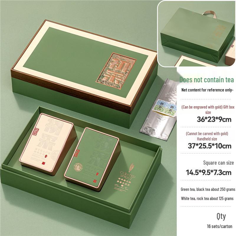 Premium Green Tea Gift Box: Xinyang Maojian, Pre-Qingming Longjing, Biluochun Packaging
