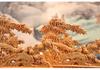 Dragon Horse Spirit Carving - Cliff Cypress Wood Decoration for Home/Office, Housewarming, or New Beginnings 