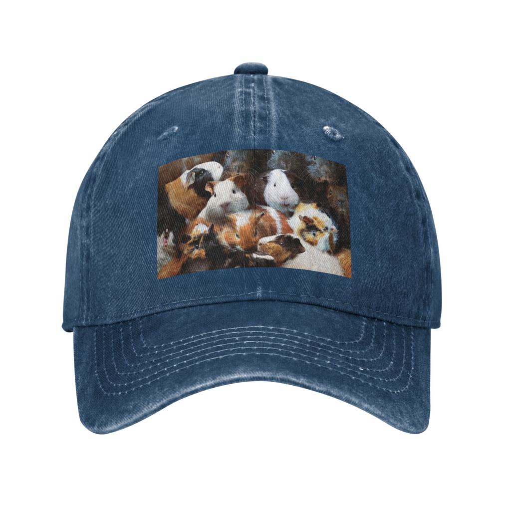Guinea Pigs Baseball Caps Fashion Denim Hats Outdoor Adjustable Casquette Sports Baseball Cowboy Hat for Unisex Women