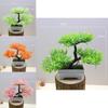Plastic Bonsai Decorative Plant For Indoor Space With Lifelike Design