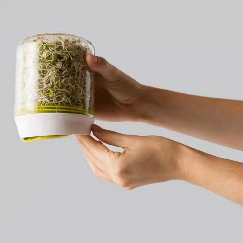 Portable Bean Sprout Growing Tray Seed Crop Container Space Saving Sprouter Plant Sprouting System for Countertop Use