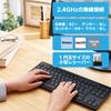 ELECOM USB-A Receiver Wireless Keyboard Quiet Design Tenkeyless Antibacterial Black TK-FDM115SKTBK