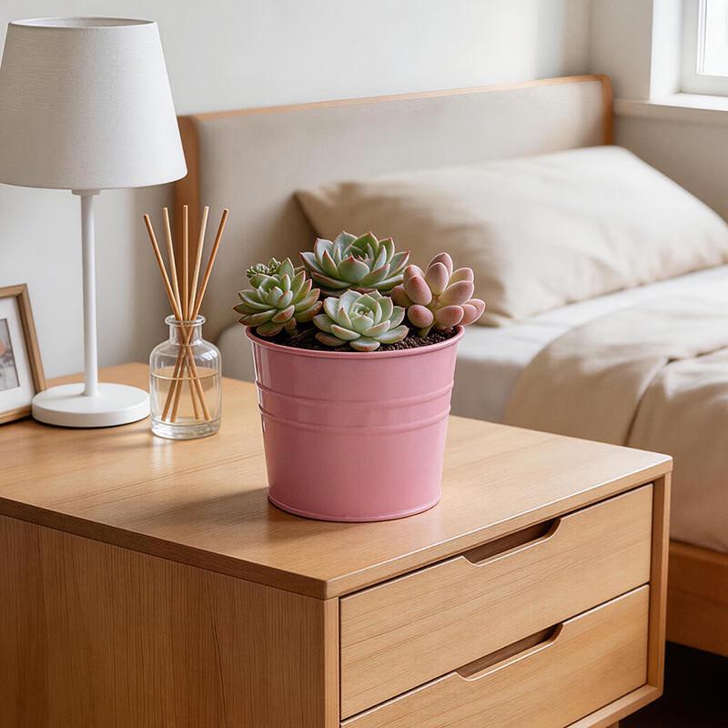 MOJY Metal Storage Bucket / Planter Set
